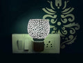 Camphor Electric Diffuser image 0