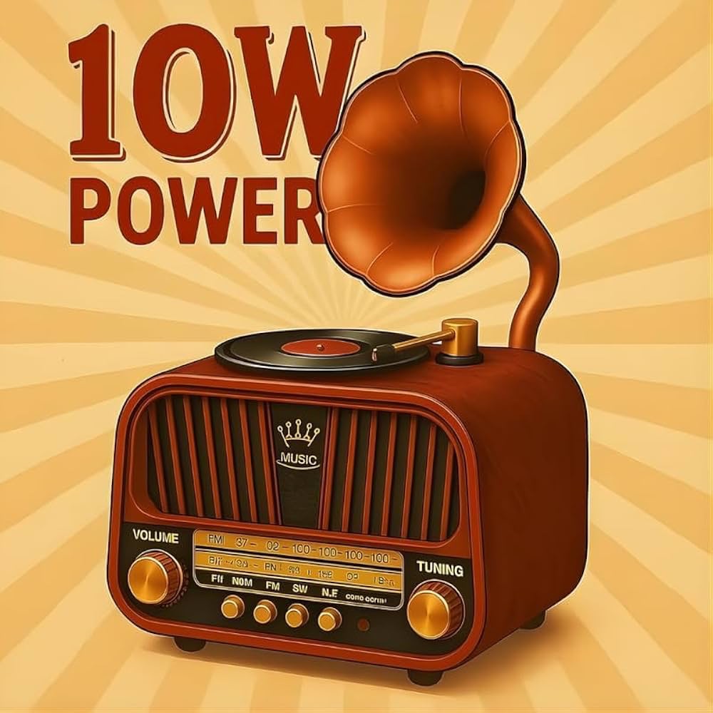 Vintage Gramophone Bluetooth Speaker • Retro Wooden Radio image 3