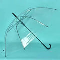 Transparent Umbrella-Durable wind resistance image 0