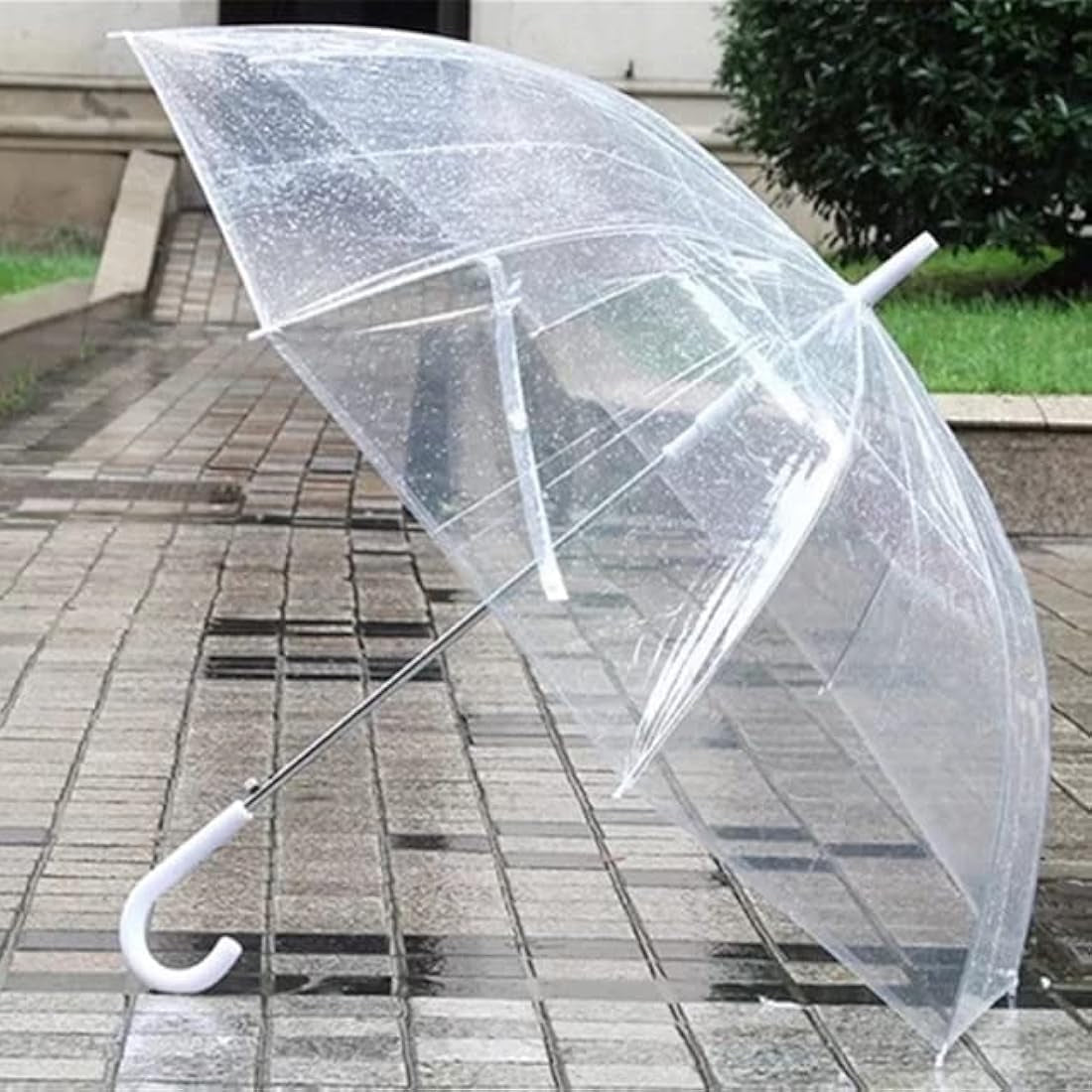 Transparent Umbrella-Durable wind resistance image 3